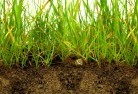 Clydesdalesub-soil-drainage-6.jpg; ?>